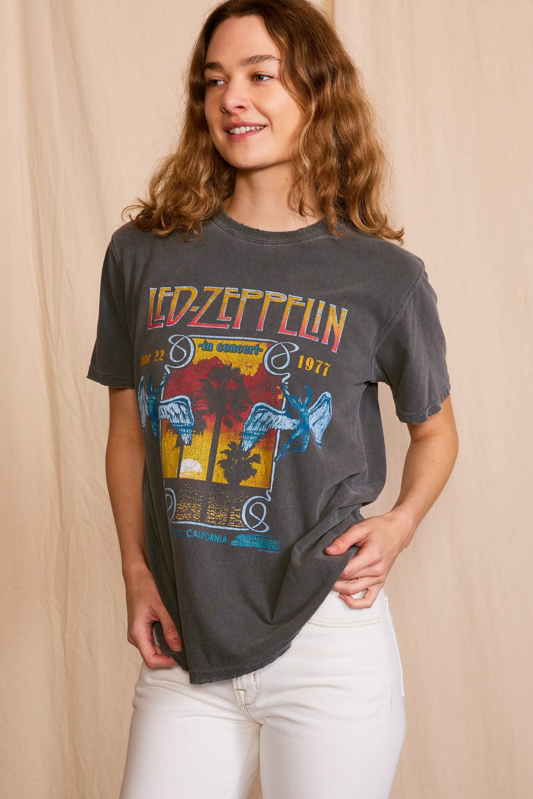 Led Zeppelin Inglewood Sunkissed Gray Tee