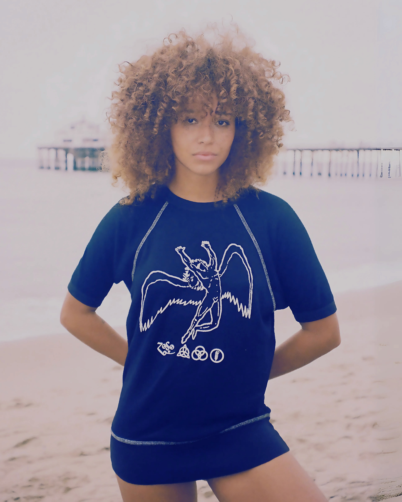 Led Zeppelin Short Sleeve Icarus Raglan