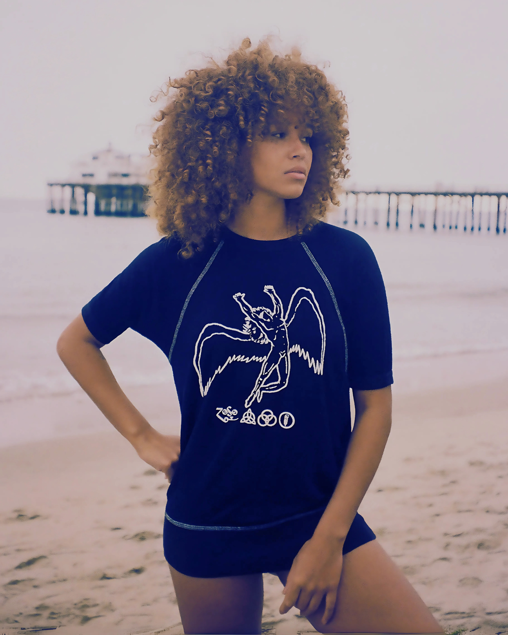 Led Zeppelin Short Sleeve Icarus Raglan