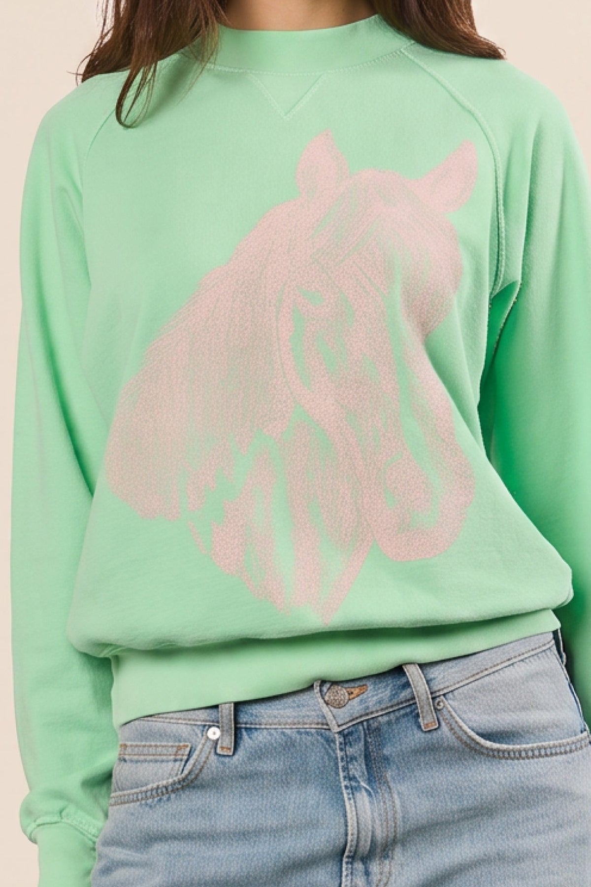 Summer Stables Pullover