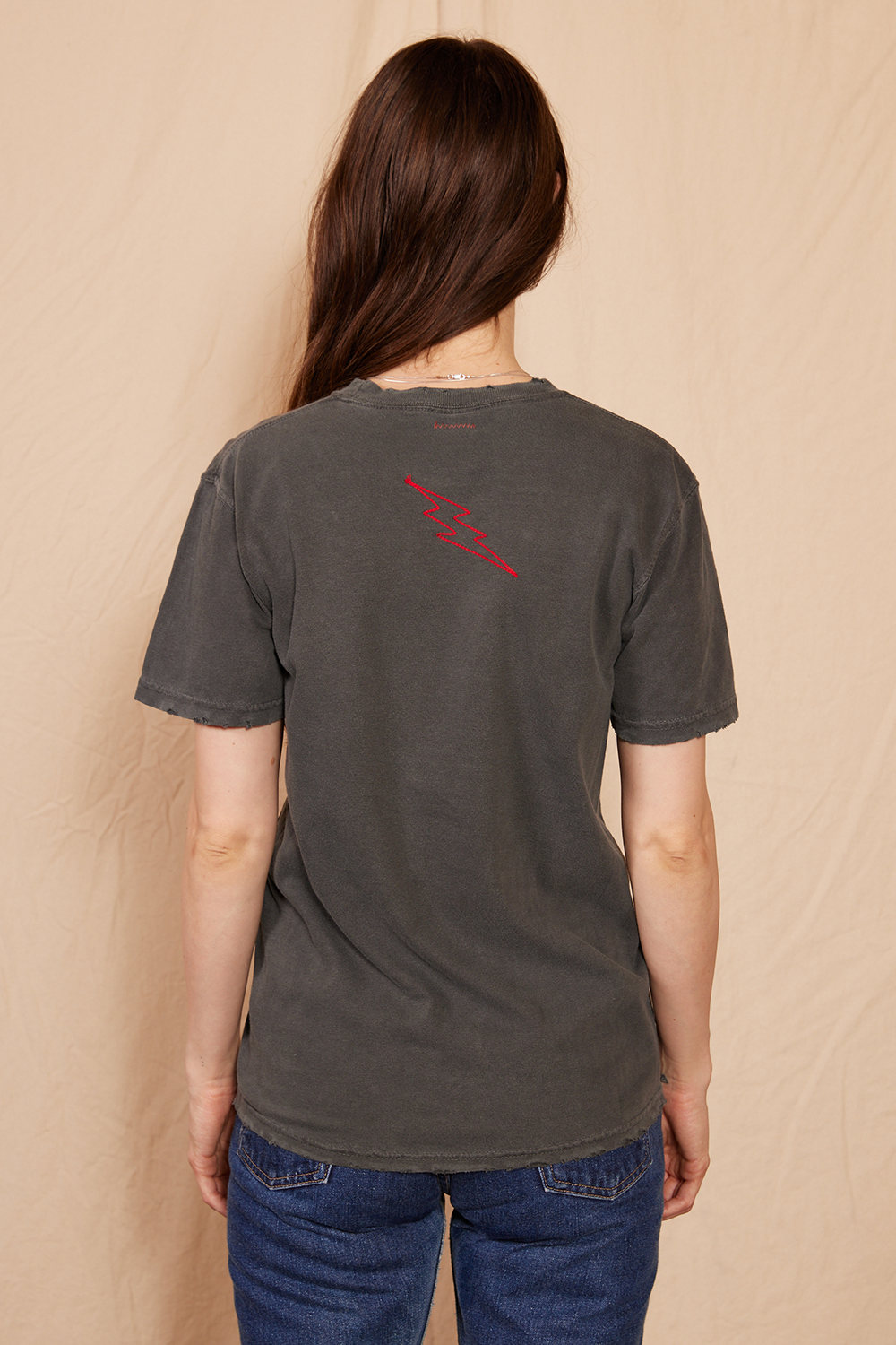Led Zeppelin 1973 Sunkissed Tee