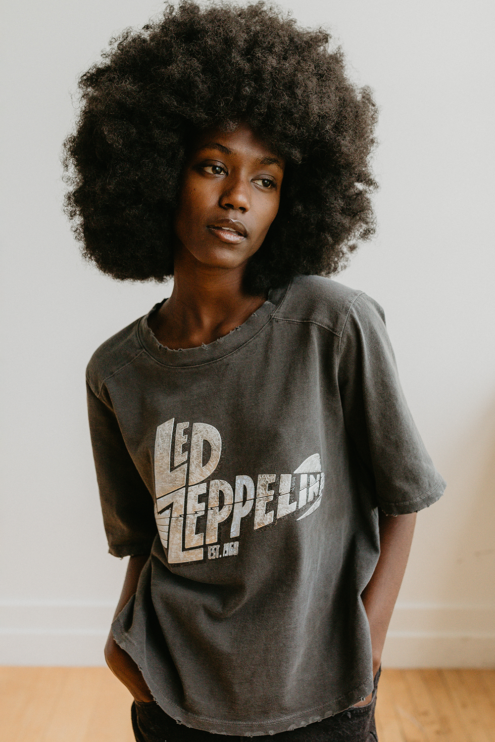 Led zeppelin mothership shirt sales