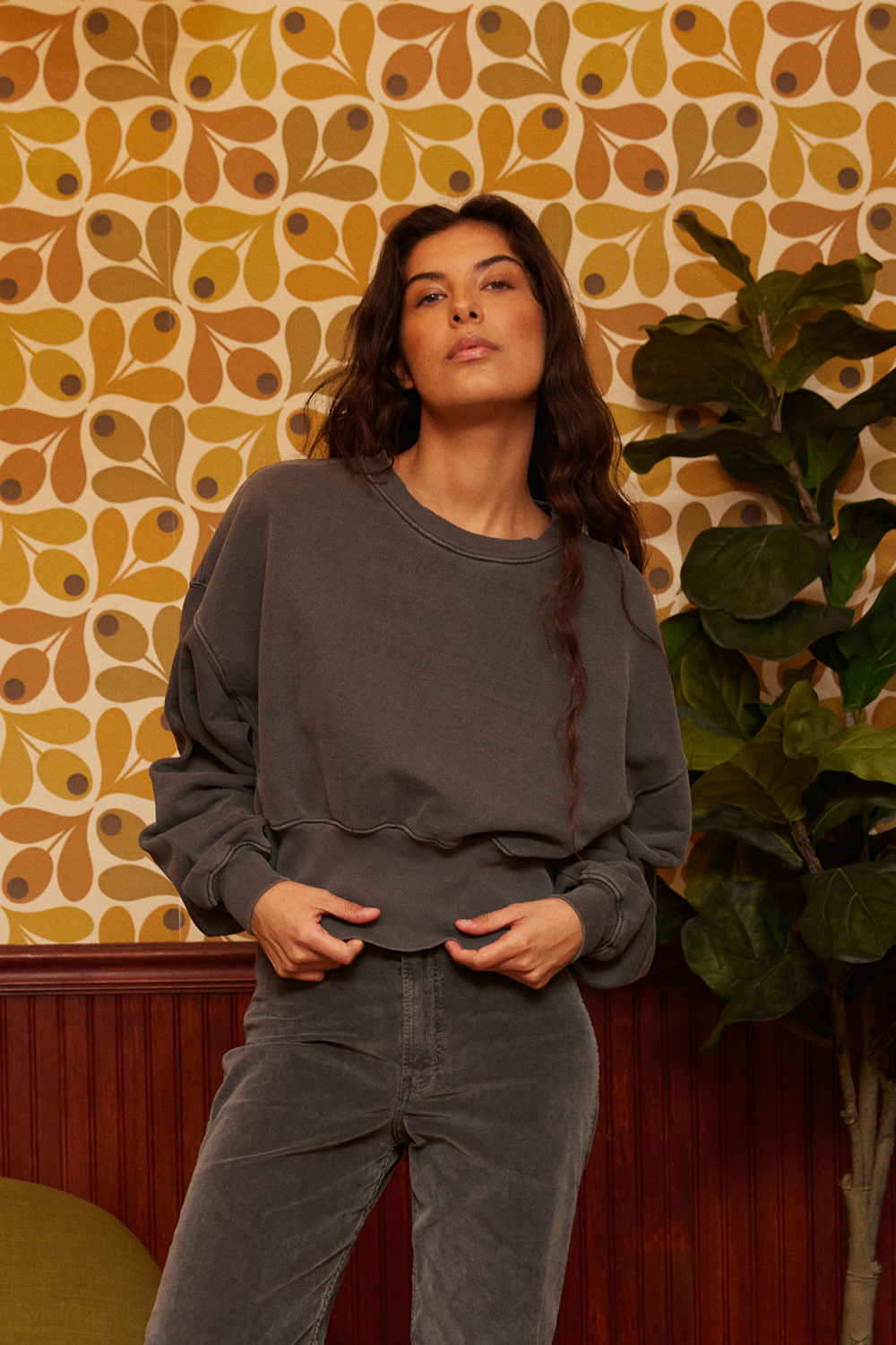 Sonoma Sweatshirt