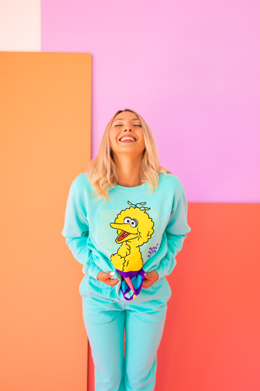 Sesame Street Big Bird Sweatshirt