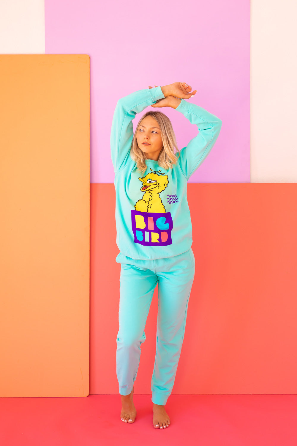 Sesame Street Big Bird Sweatshirt