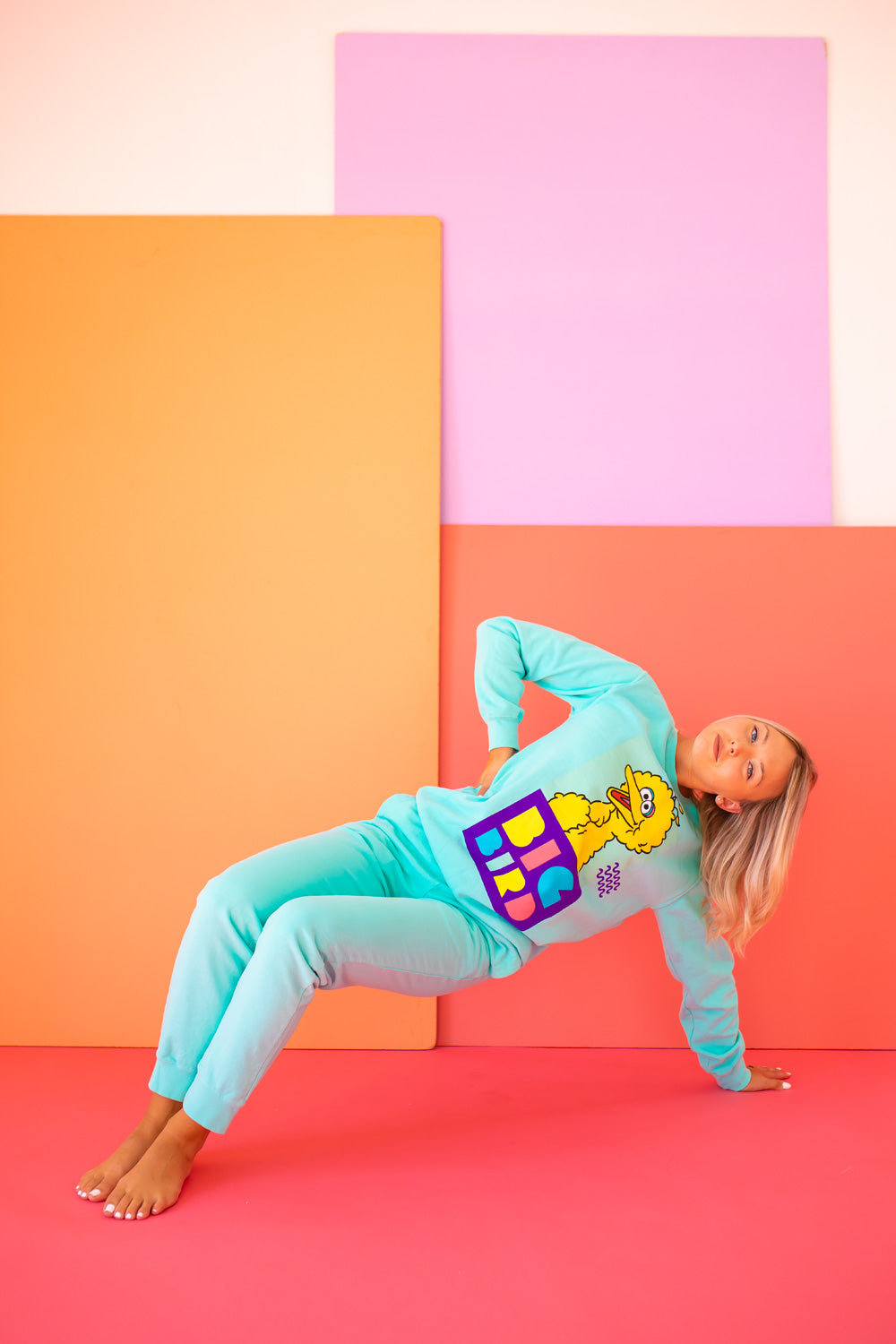 Sesame Street Big Bird Sweatshirt