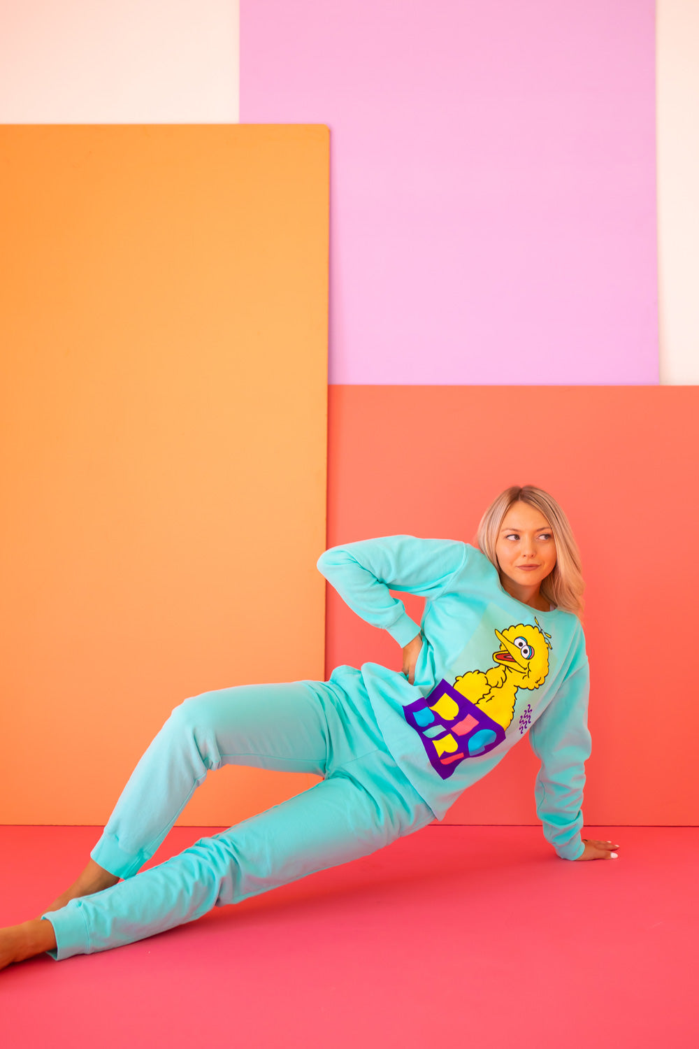 Sesame Street Big Bird Sweatshirt