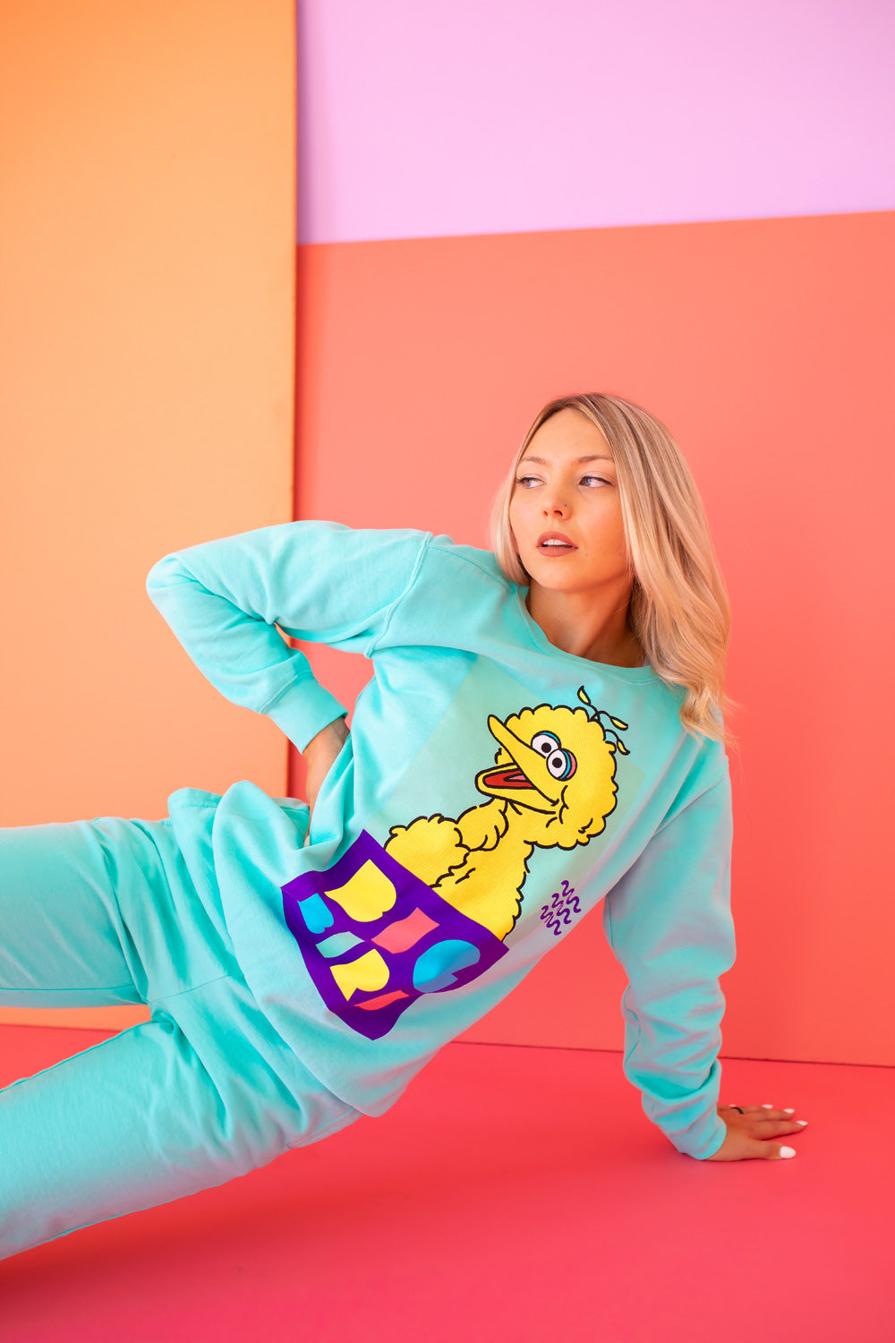 Sesame Street Big Bird Sweatshirt