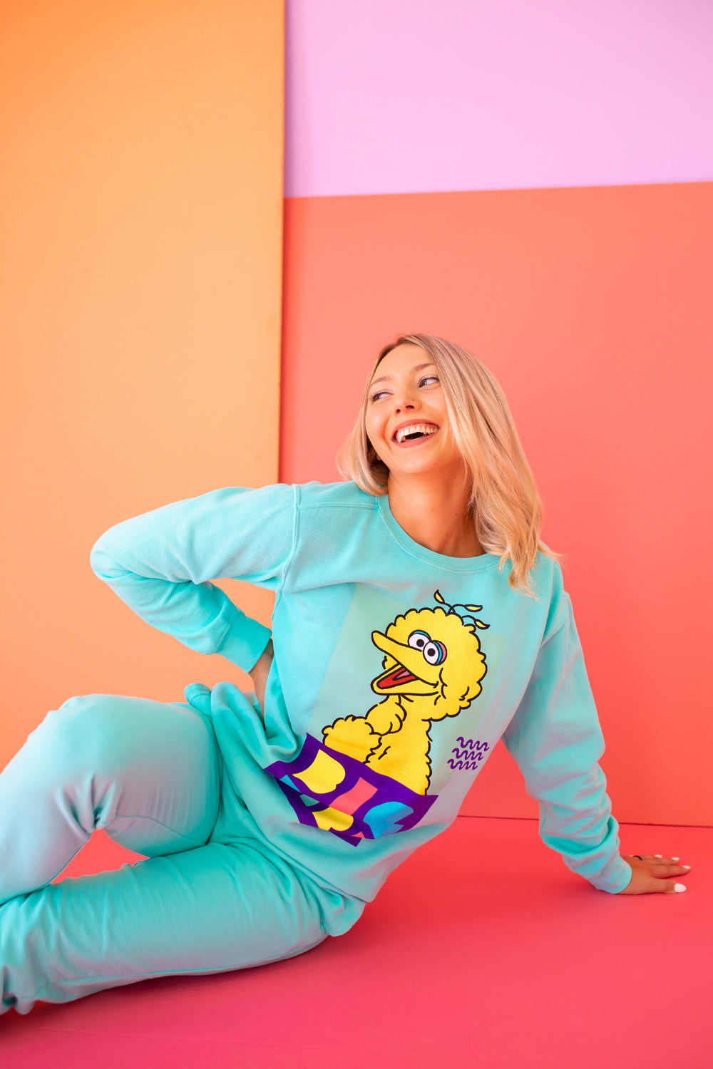 Sesame Street Big Bird Sweatshirt