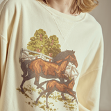 Mommy and Foal Sweatshirt
