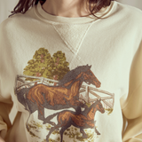 Mommy and Foal Sweatshirt