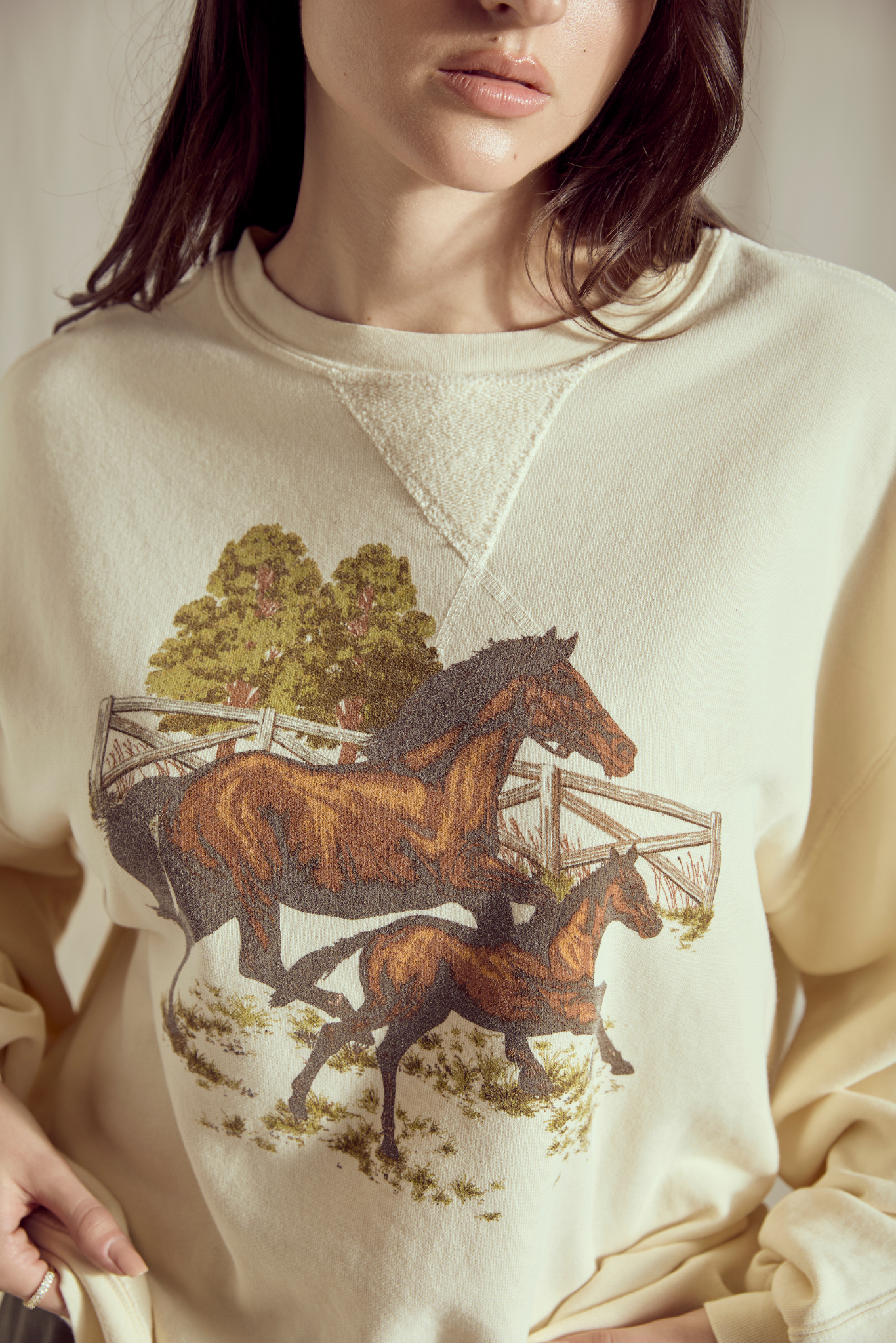 Mommy and Foal Sweatshirt