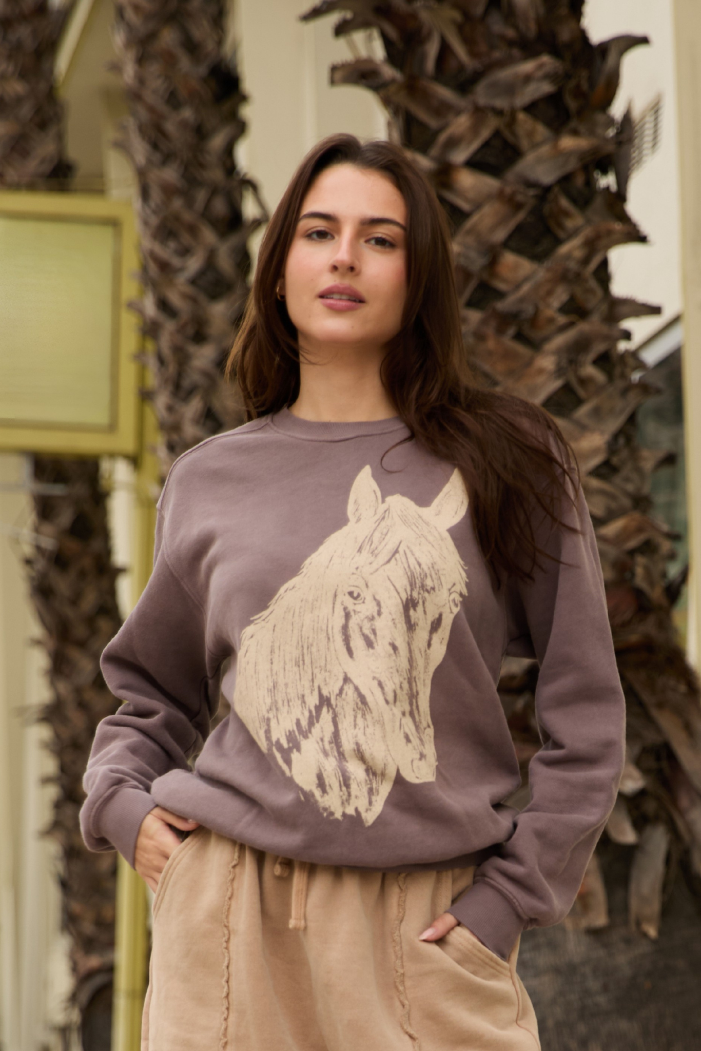Stallion Sweatshirt