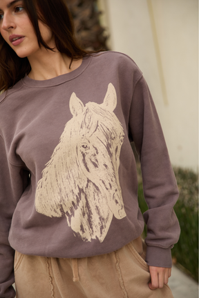 Stallion Sweatshirt