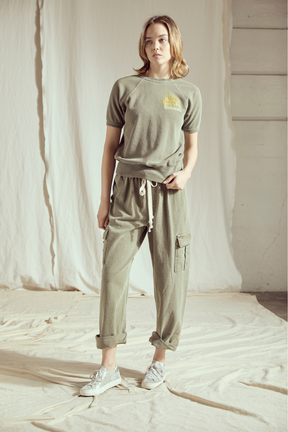 The Beach Boys Pet Sounds Raglan