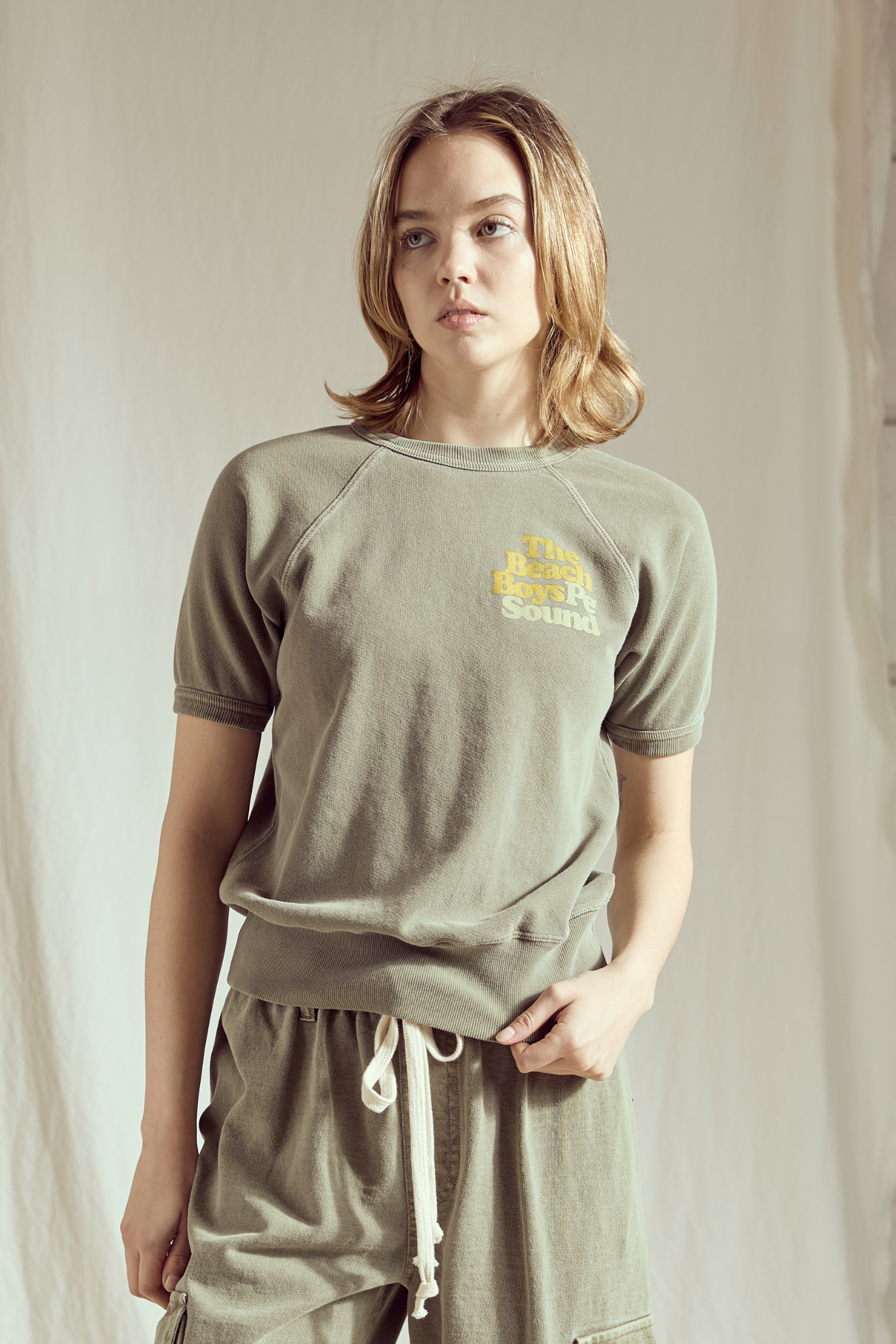 The Beach Boys Pet Sounds Raglan