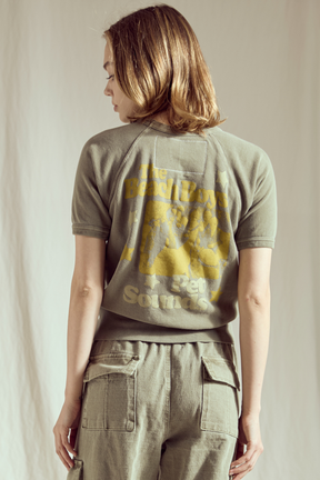 The Beach Boys Pet Sounds Raglan