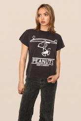 Peanuts Surf