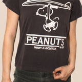 Peanuts Surf