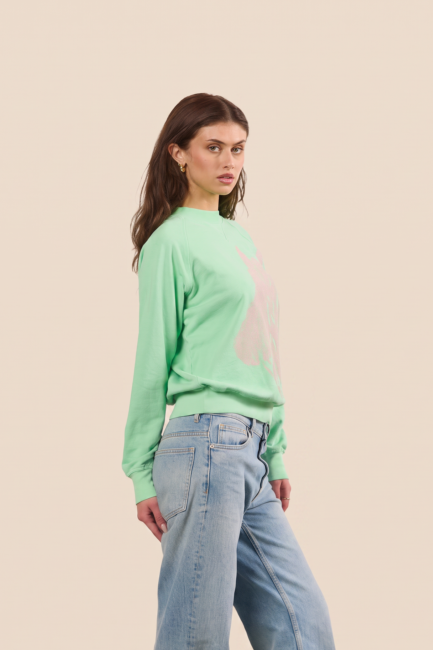 Summer Stables Pullover