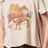 Wild Horse