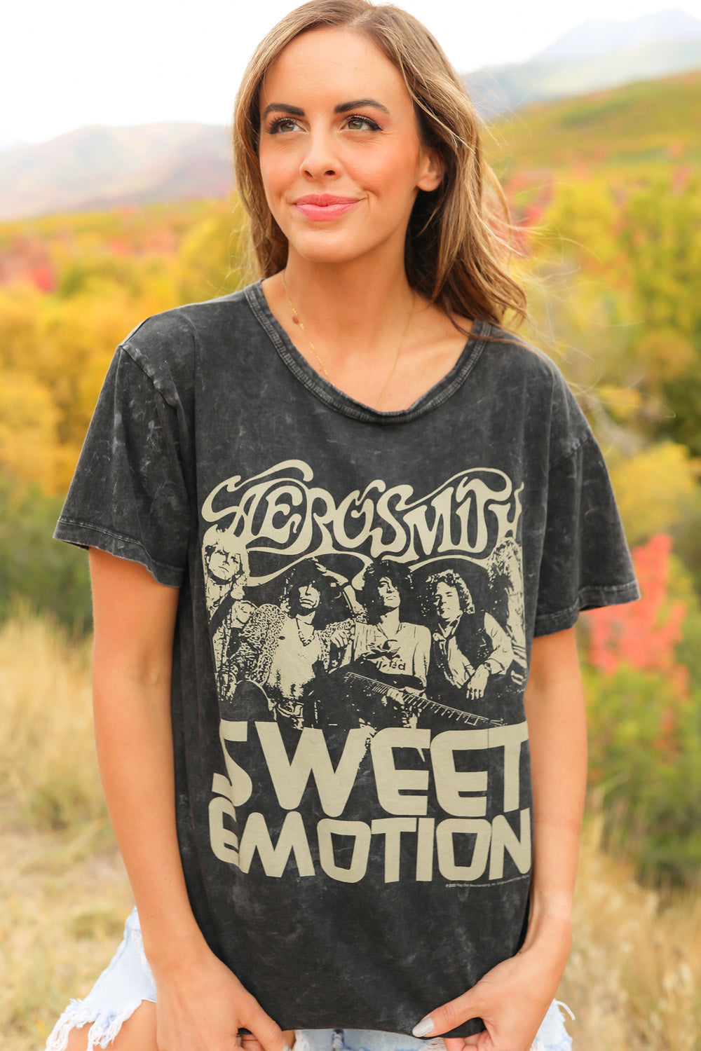 Aerosmith Sweet Emotion